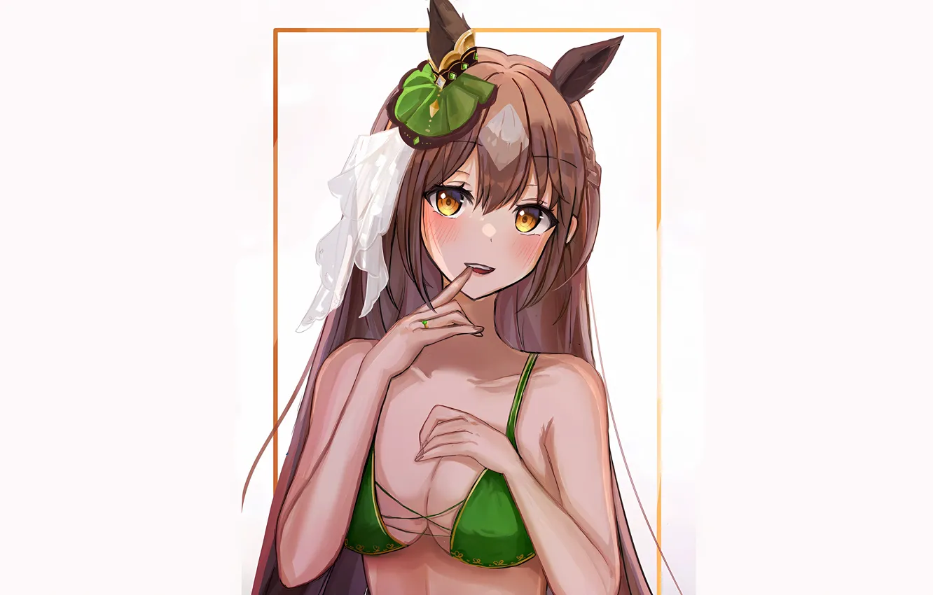 Фото обои girl, sexy, cleavage, long hair, brown hair, boobs, animal ears, anime