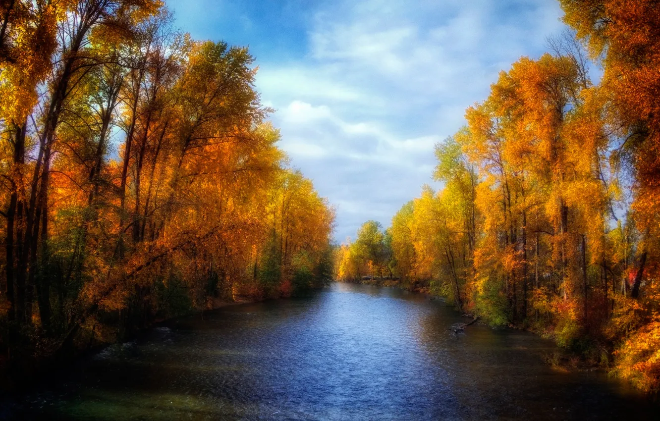 Фото обои осень, небо, деревья, река