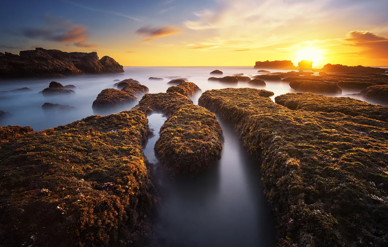 Фото обои море, солнце, скалы, вечер, sunshine, sea, rocks, evening