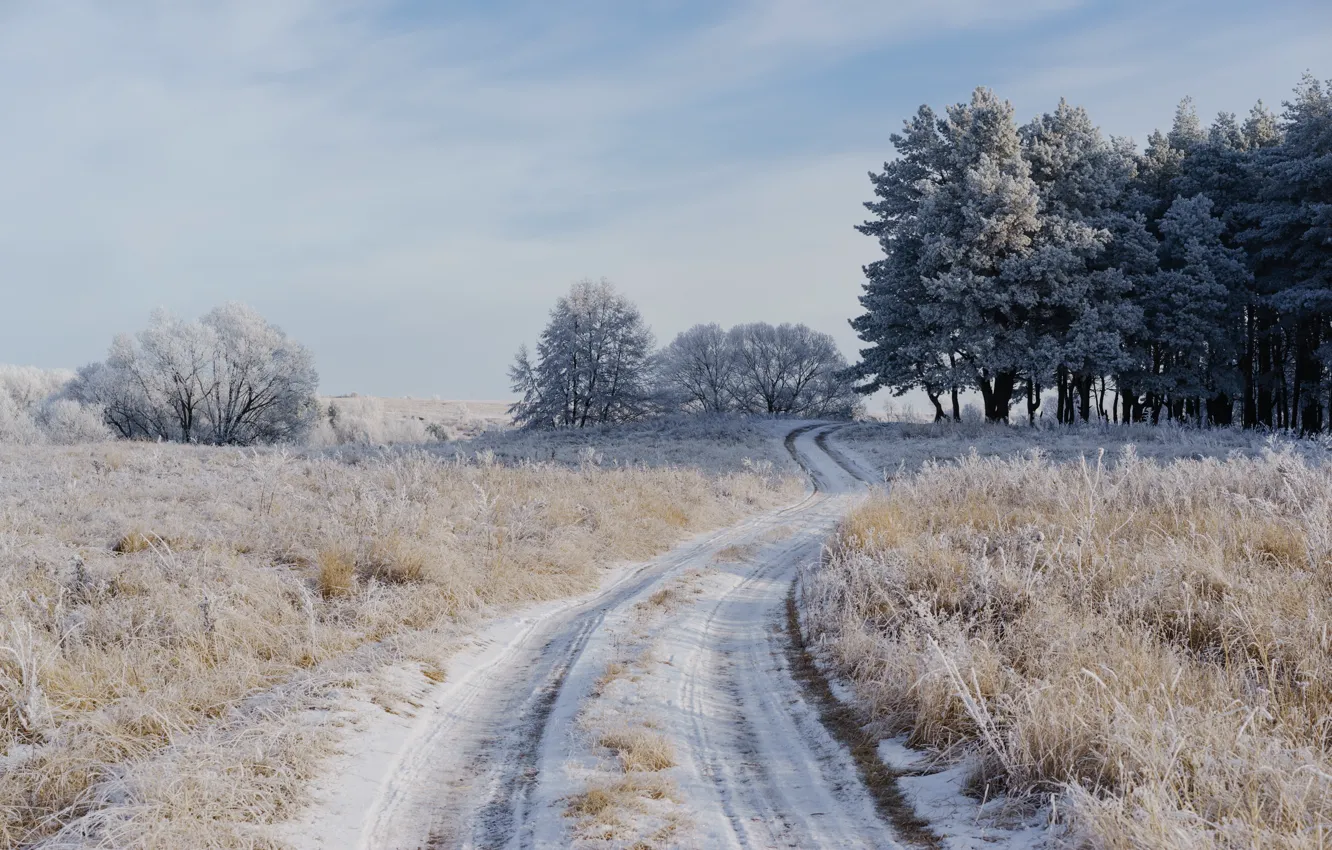 Фото обои зима, иней, дорога, поле