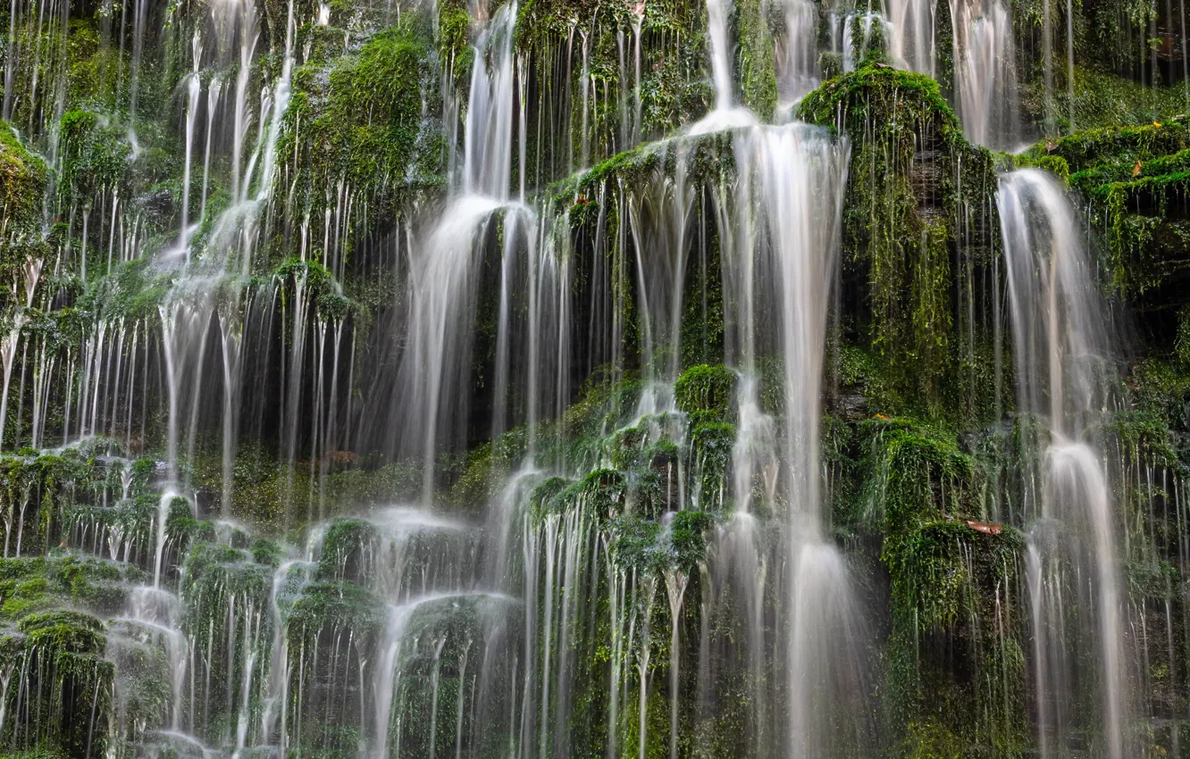 Фото обои мох, водопады, каскад, Tennessee, Теннесси, Machine Falls