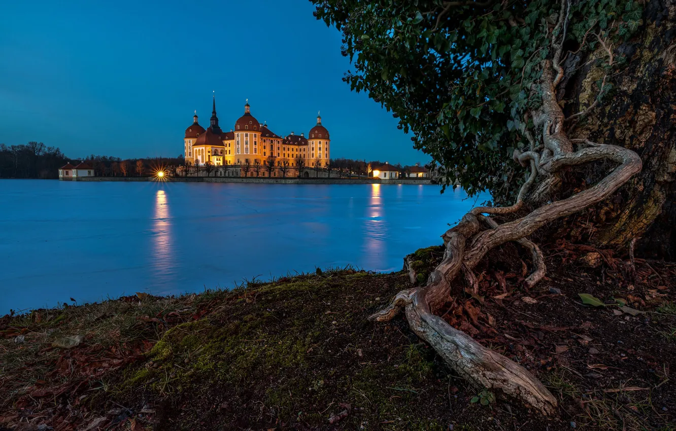 Фото обои озеро, замок, дерево, Германия, Germany, Саксония, Морицбург, Saxony