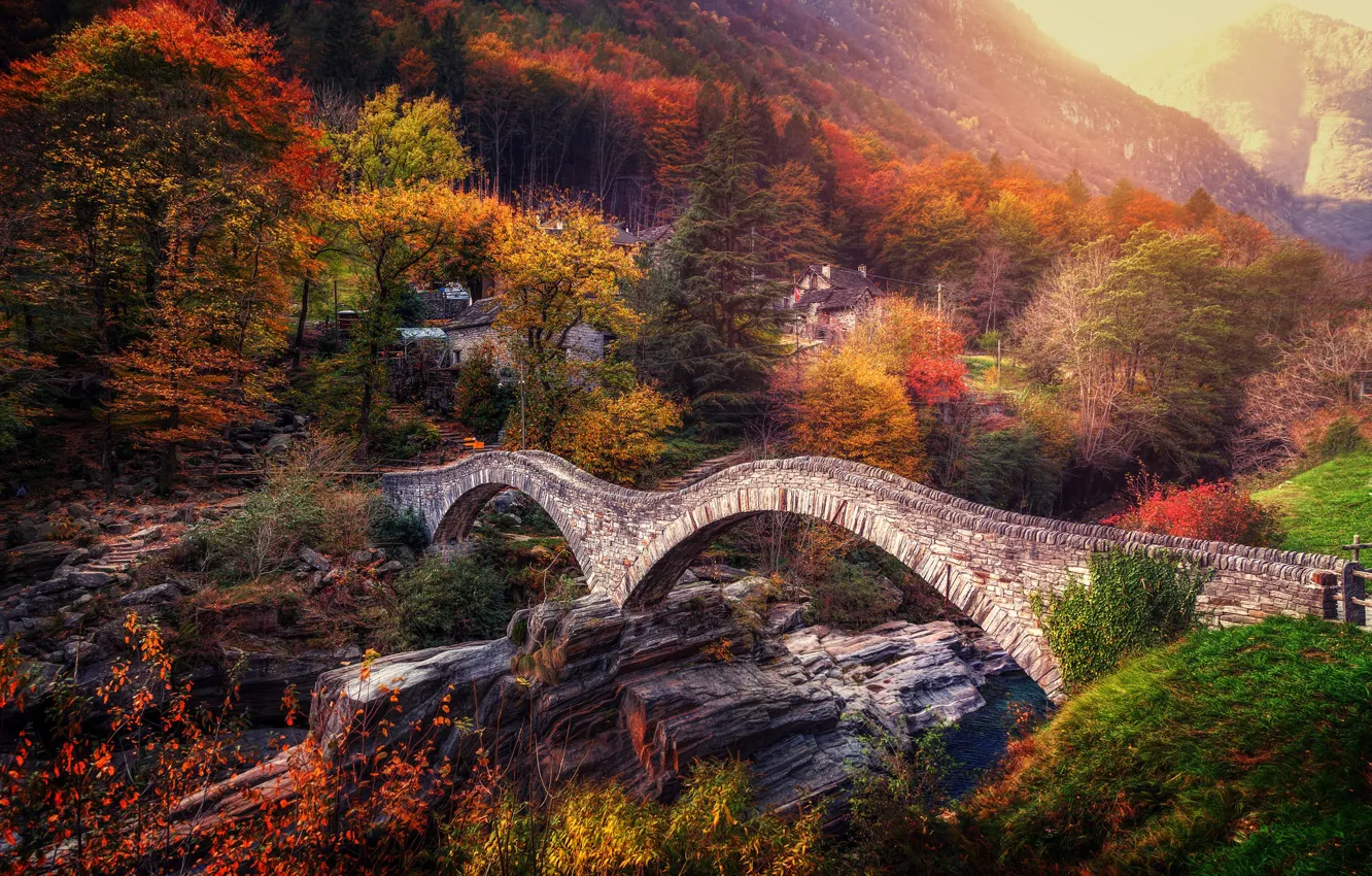 Фото обои осень, деревья, мост, Швейцария, Альпы, Switzerland, Alps, Ticino