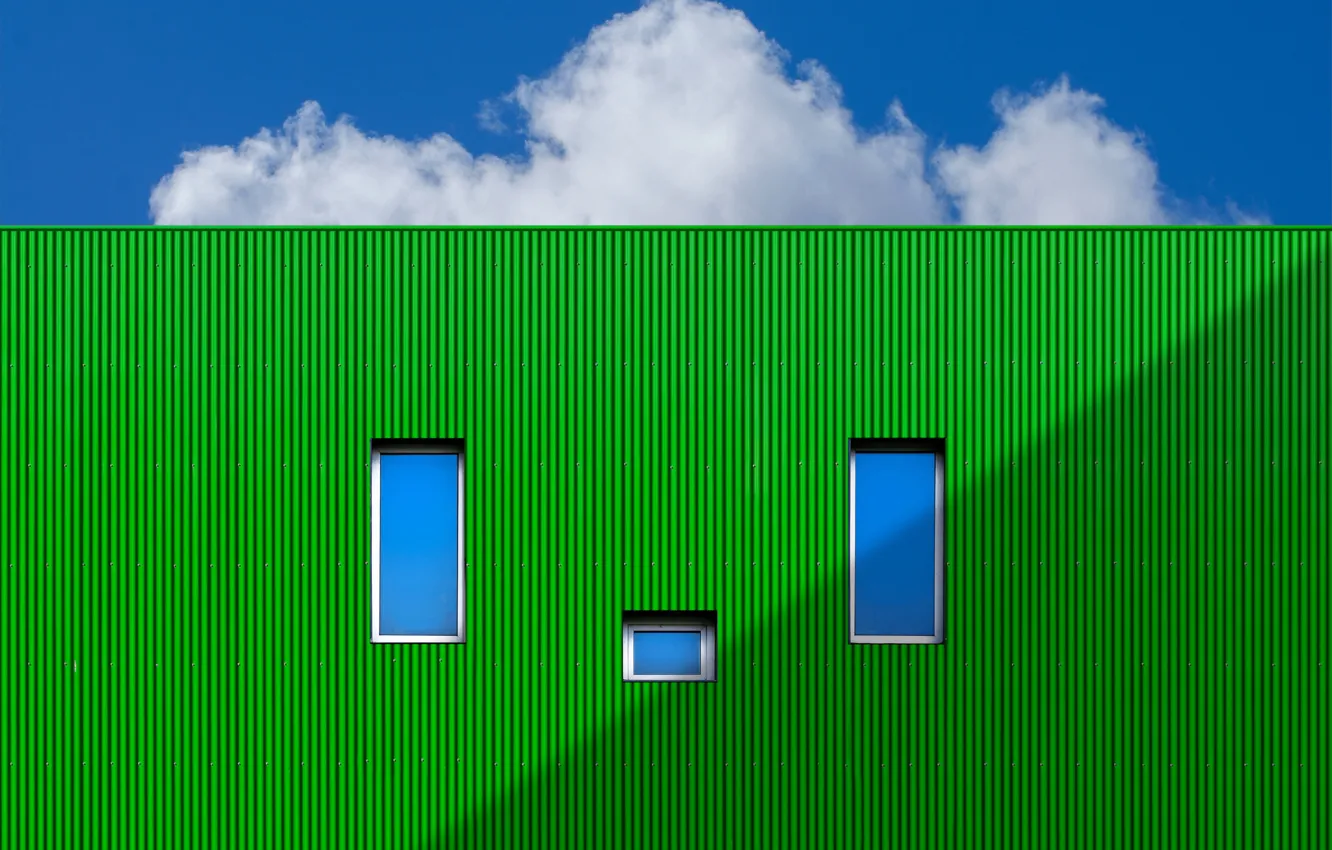 Фото обои стена, окна, зелёный