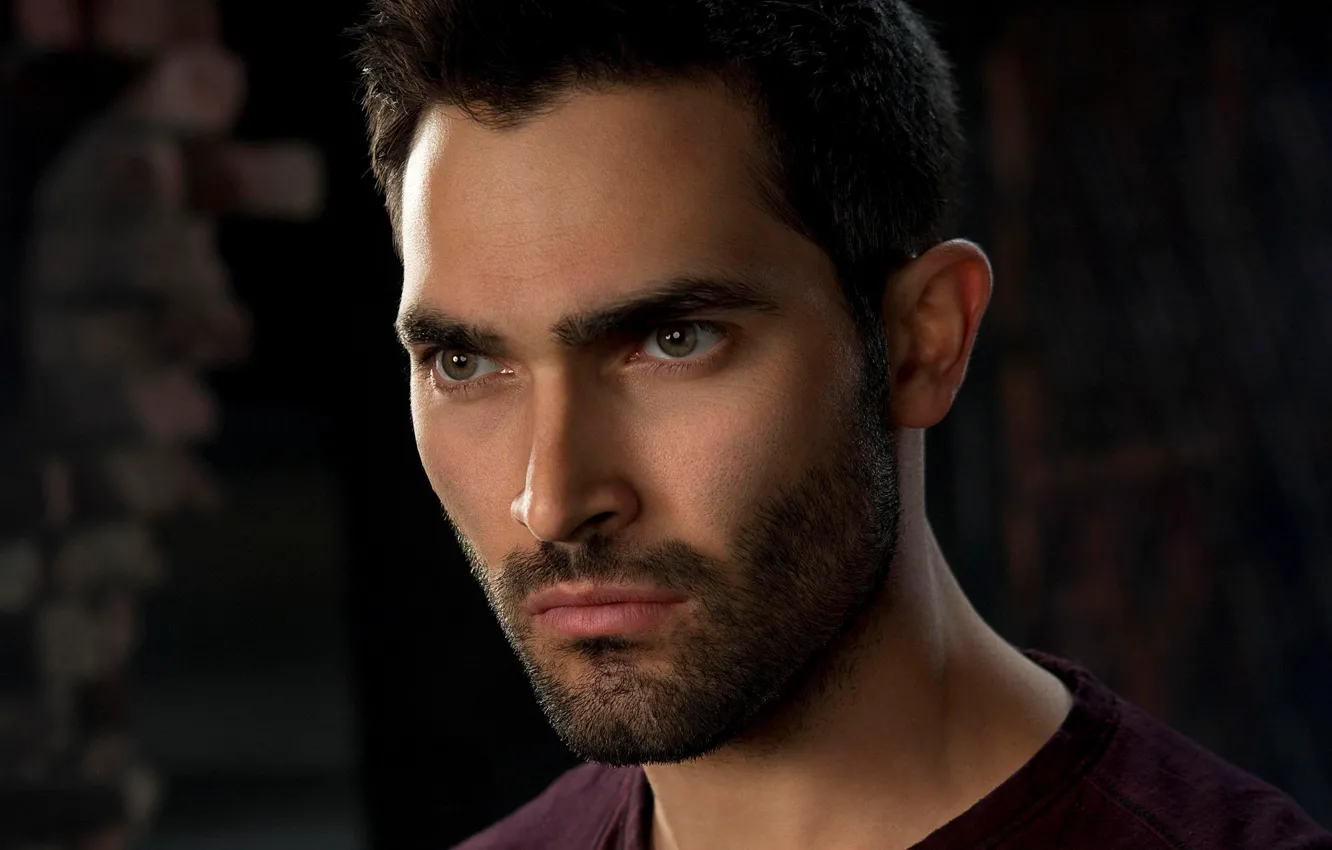 Фото обои актер, мужчина, Tyler Hoechlin