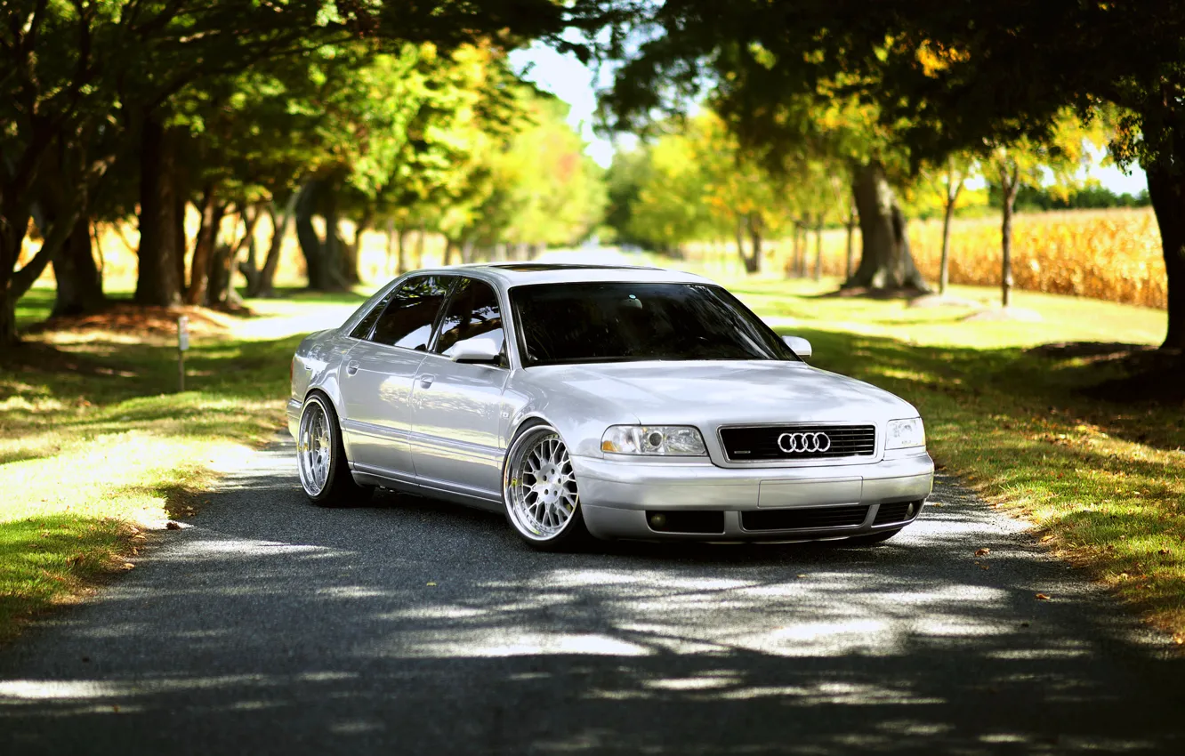 Фото обои Audi, ауди, white, frontside