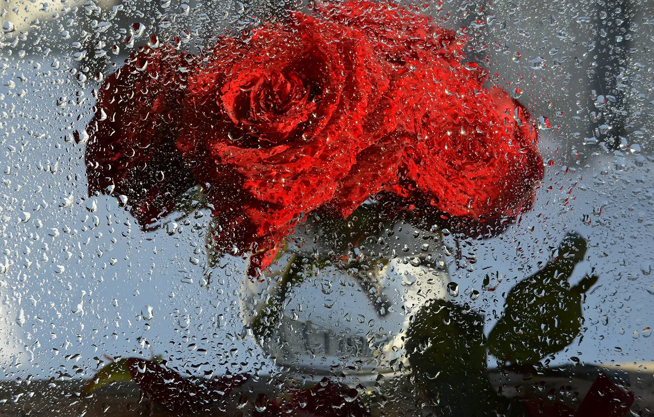 Фото обои капли, макро, цветы, фантазия, дождь, розы, красота, букет
