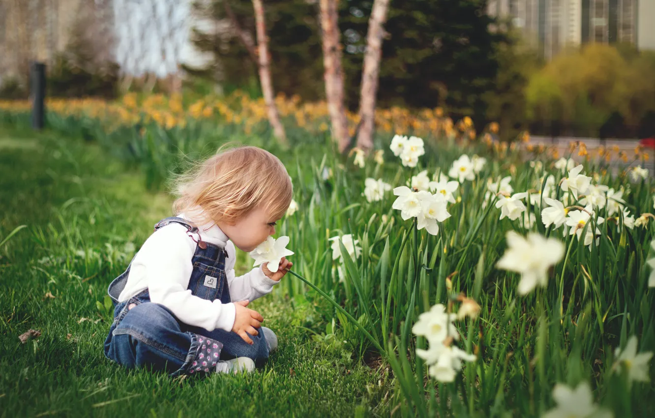 Фото обои цветы, ребенок, весна, девочка, клумба, запах, нарциссы