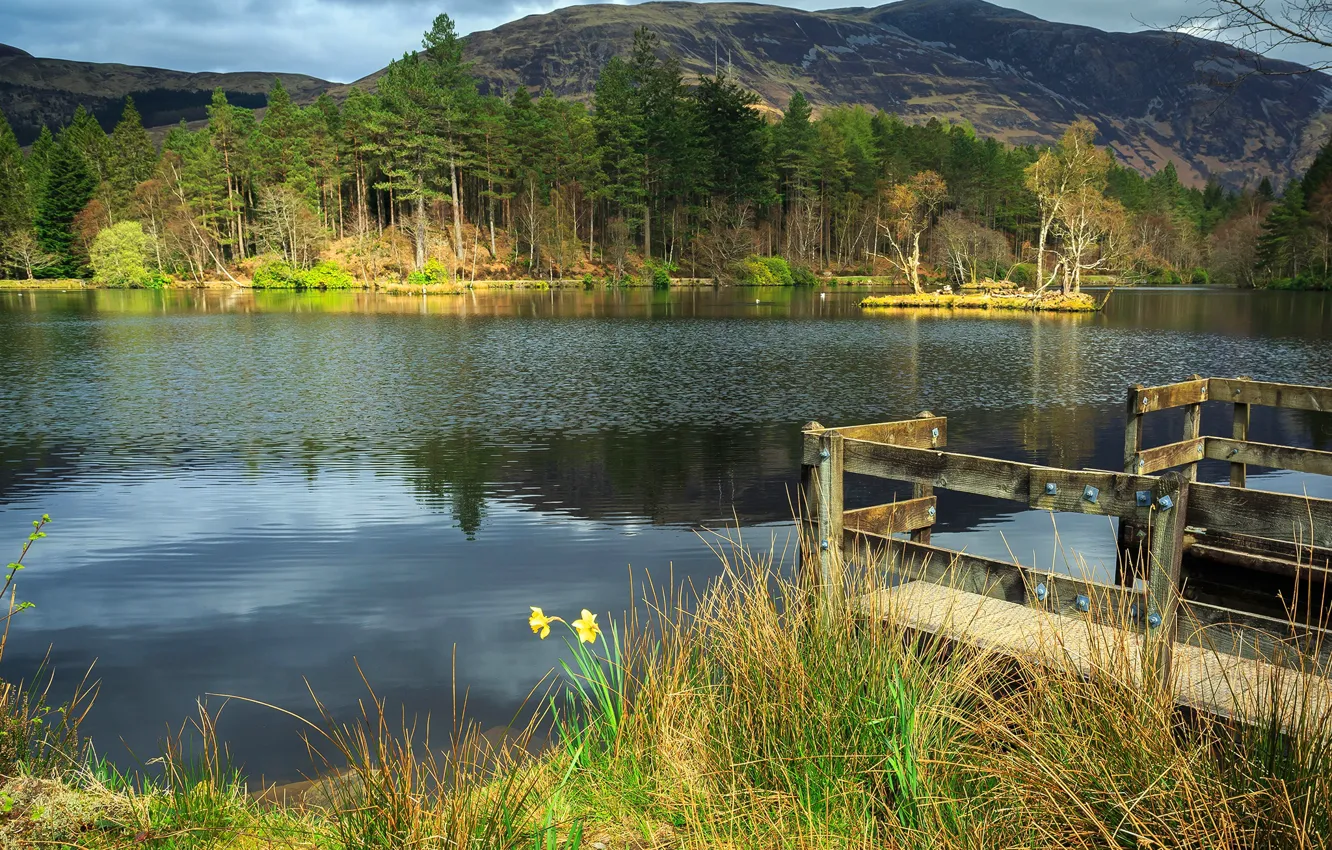 Фото обои лес, трава, деревья, горы, озеро, пруд, Шотландия, Гленко-Лохан