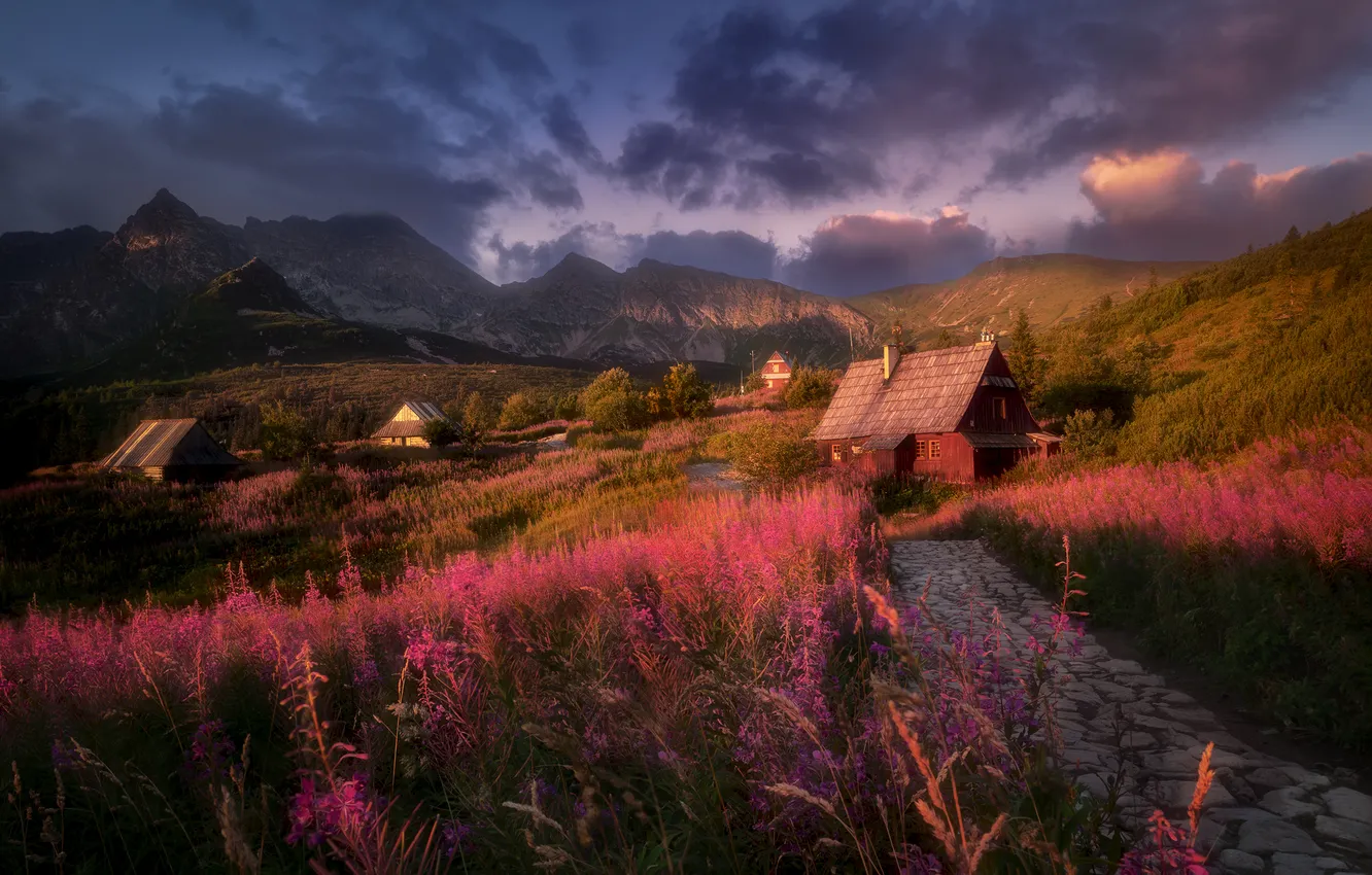 Фото обои дорога, облака, Горы, Ночь, деревня, горизонт, строения, High Tatras
