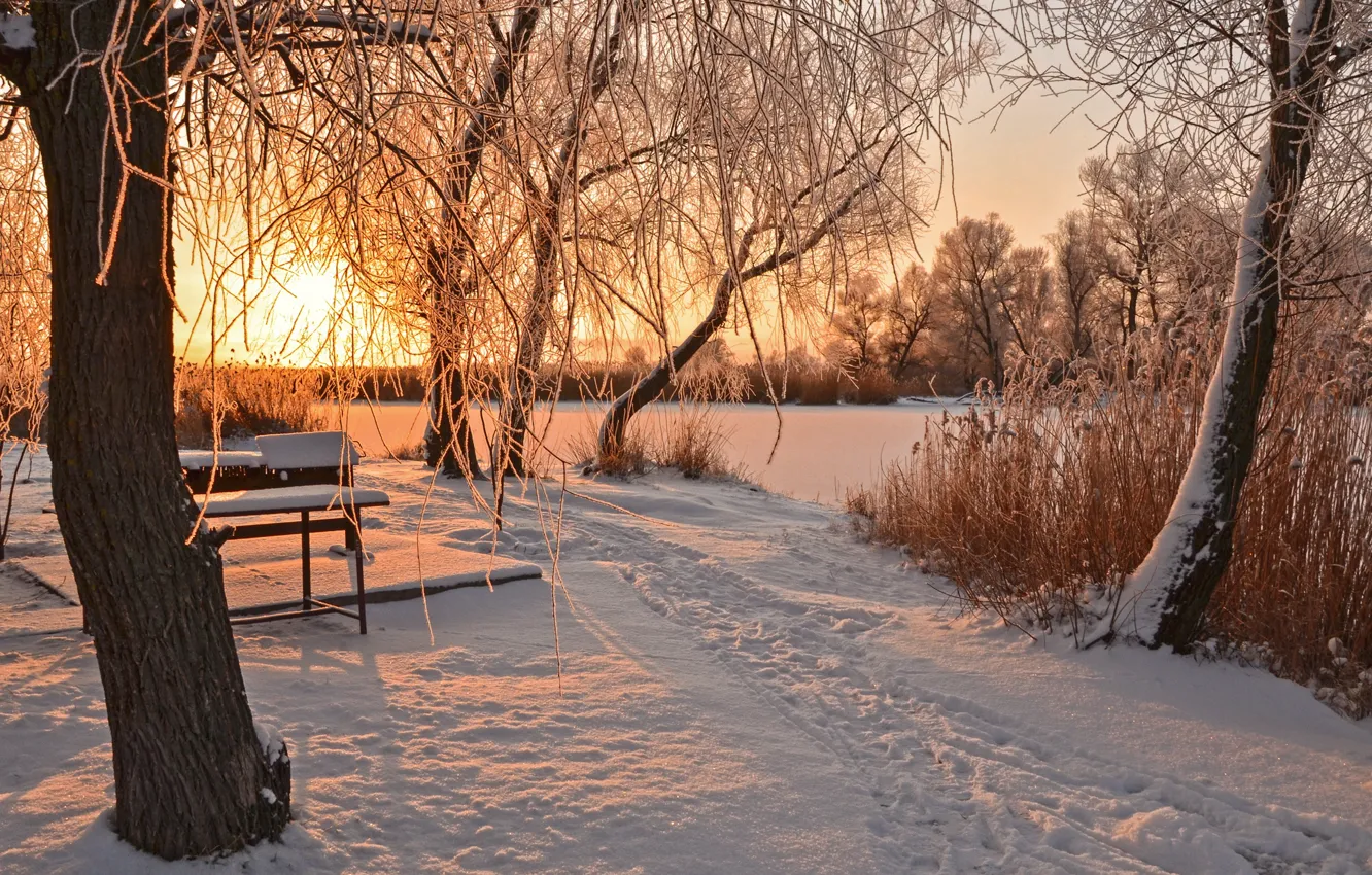 Фото обои зима, солнце, снег, деревья, скамейка, следы