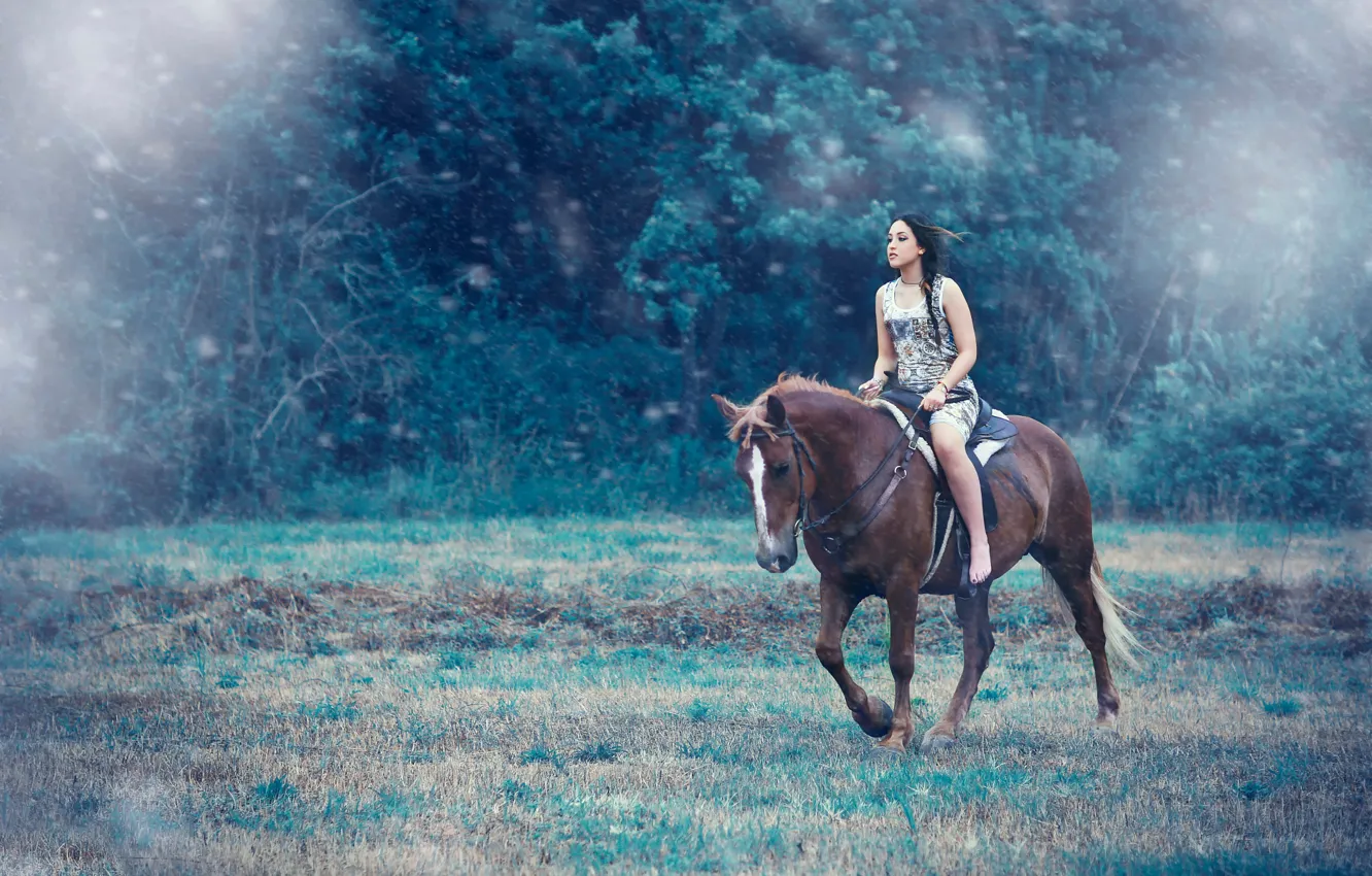 Фото обои девушка, лошадь, верхом, Alessandro Di Cicco, Away from you