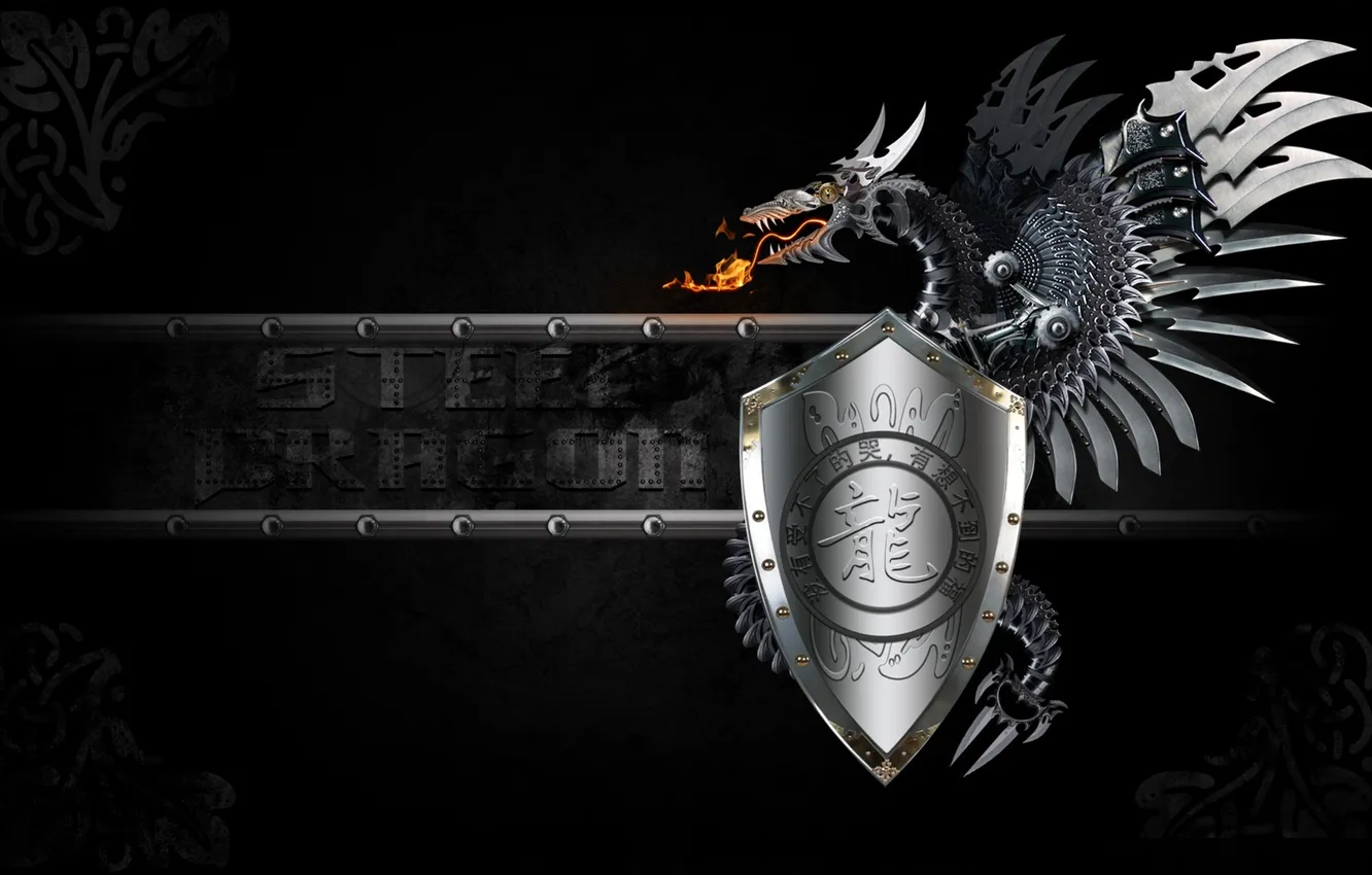 Фото обои металл, дракон, арт, иероглифы, щит, черный фон, Steel Dragon