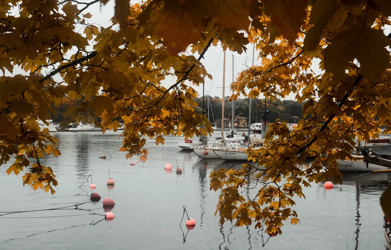 Фото обои осень, город, озеро, река, яхта, Корабль