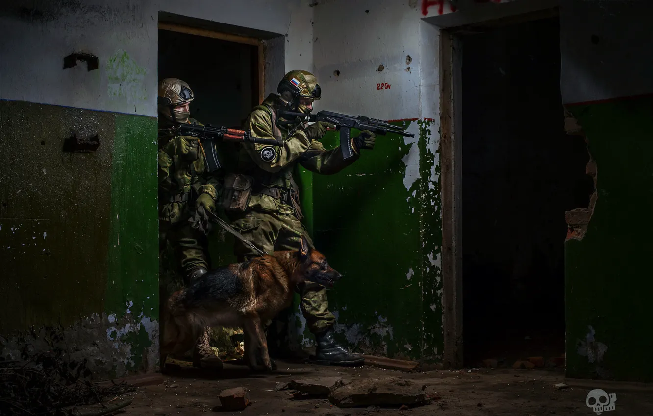 Фото обои собака, солдаты, спецназ