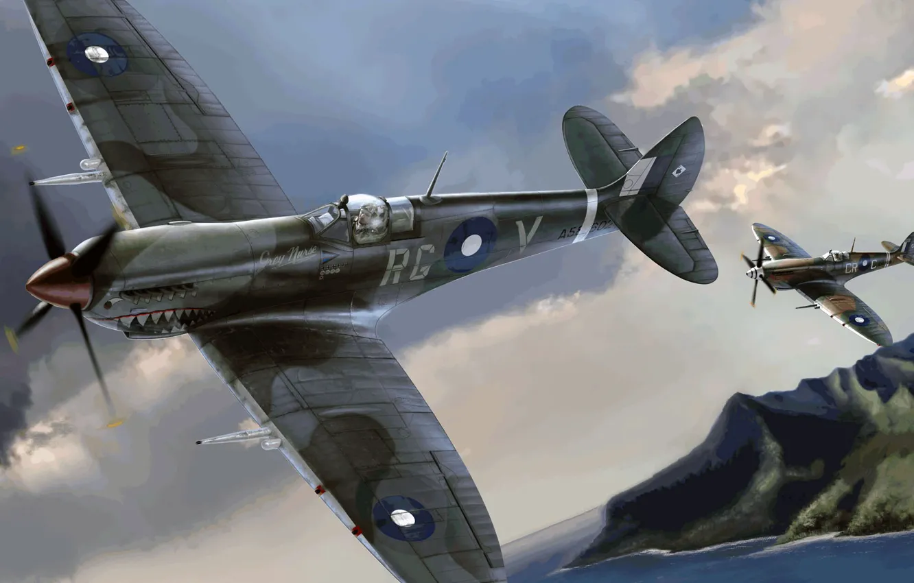 Фото обои Spitfire, Supermarine, Mk.VIII, Австралийские ВВС