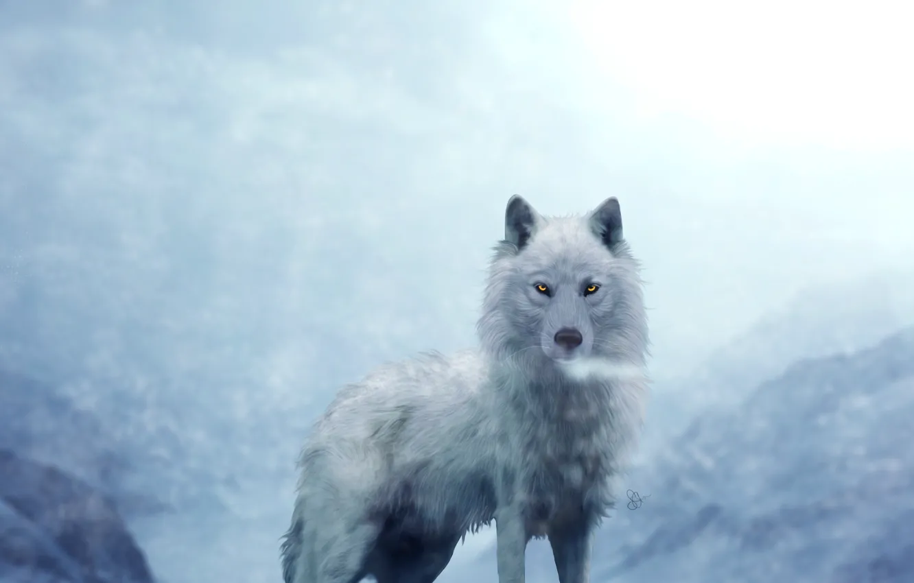 Фото обои белый, волк, на фоне, гор