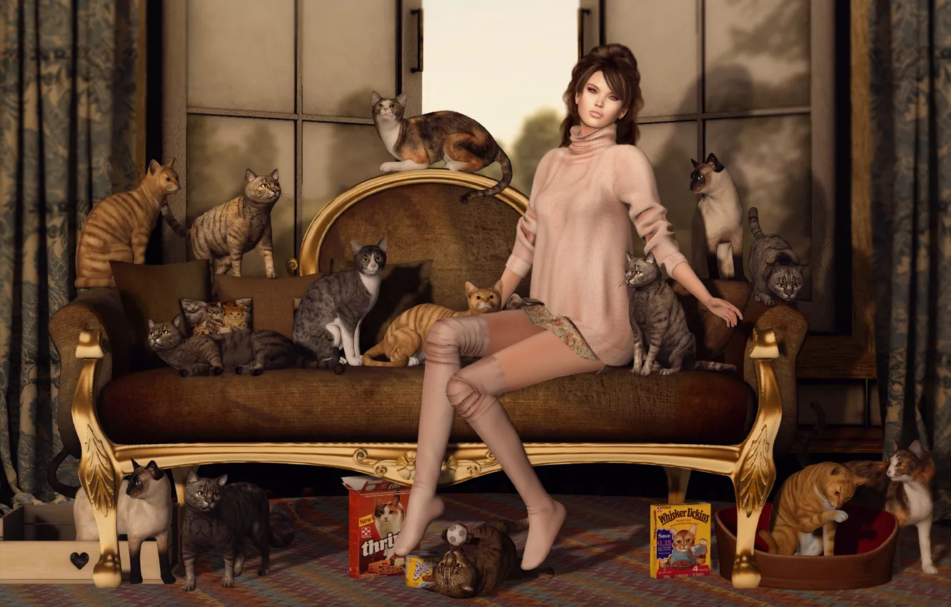 Фото обои девушка, кошки, лицо, диван, коты, волосы, ножки, сидит