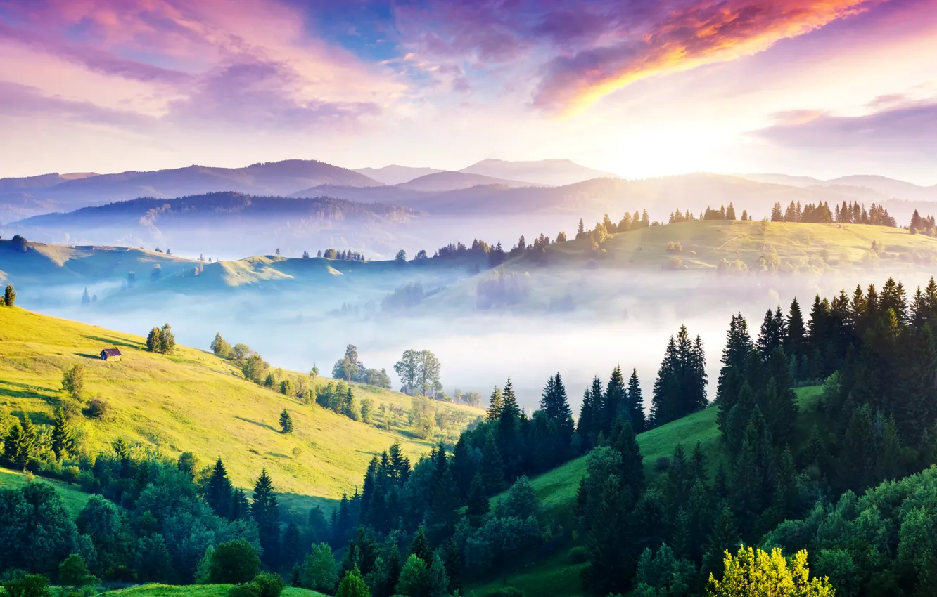 Фото обои солнце, горы, туман, холмы, панорама, домик, Украина, леса