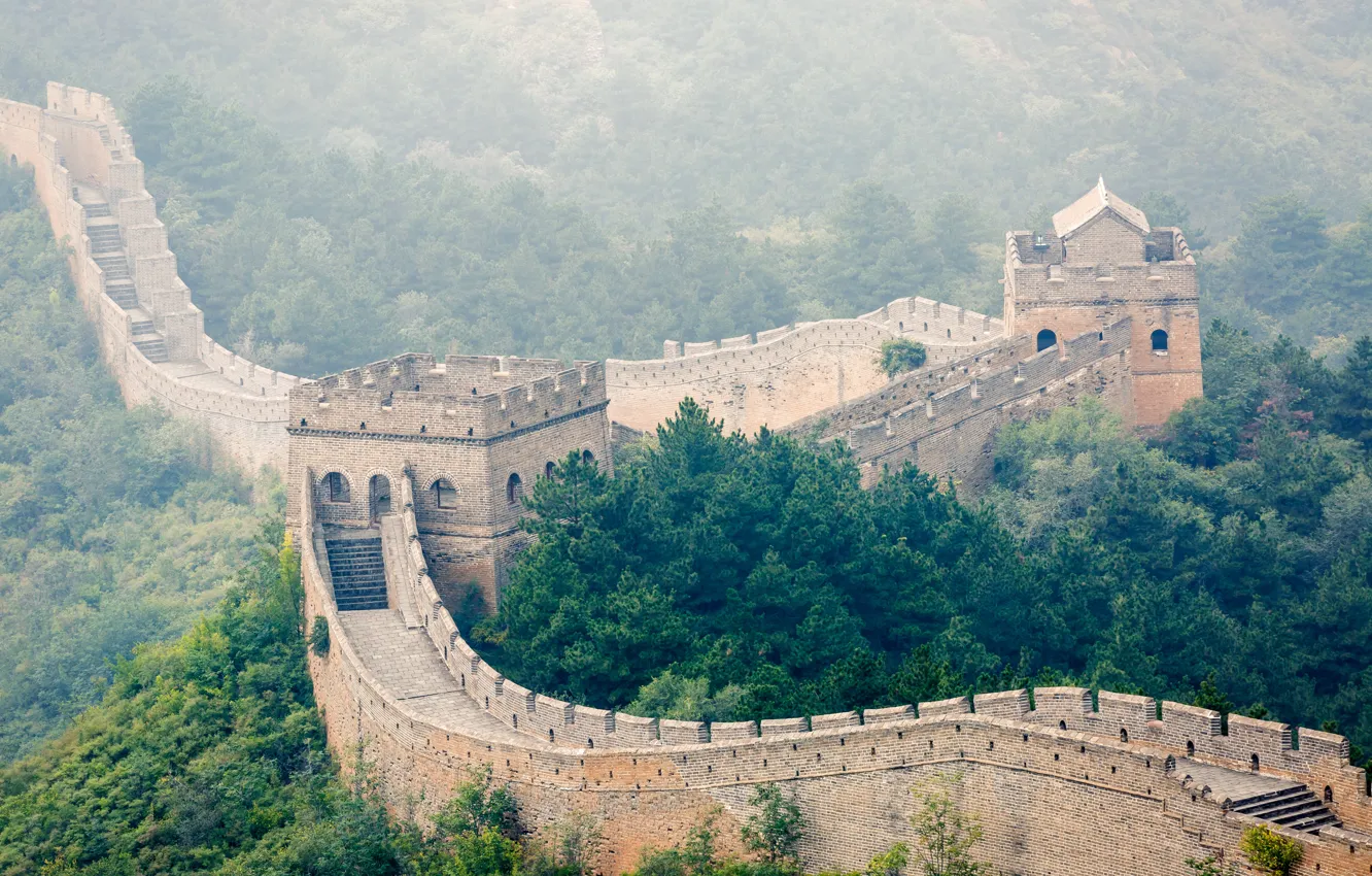 Фото обои лес, деревья, туман, Китай, Великая Китайская стена, Great Wall of China