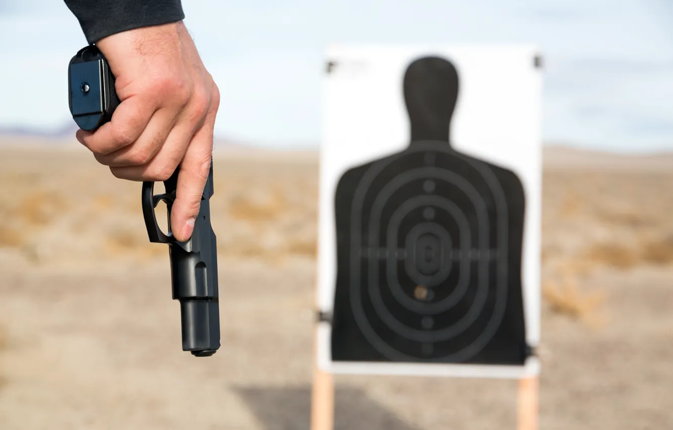 Фото обои gun, target, target shooting