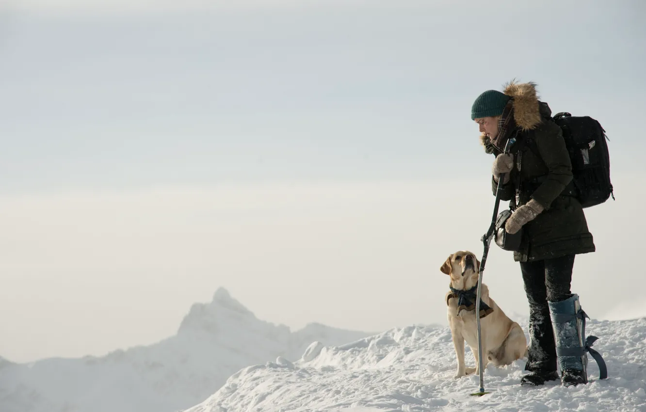Фото обои cinema, dog, snow, movie, film, Kate Winslet, The Mountain Between Us