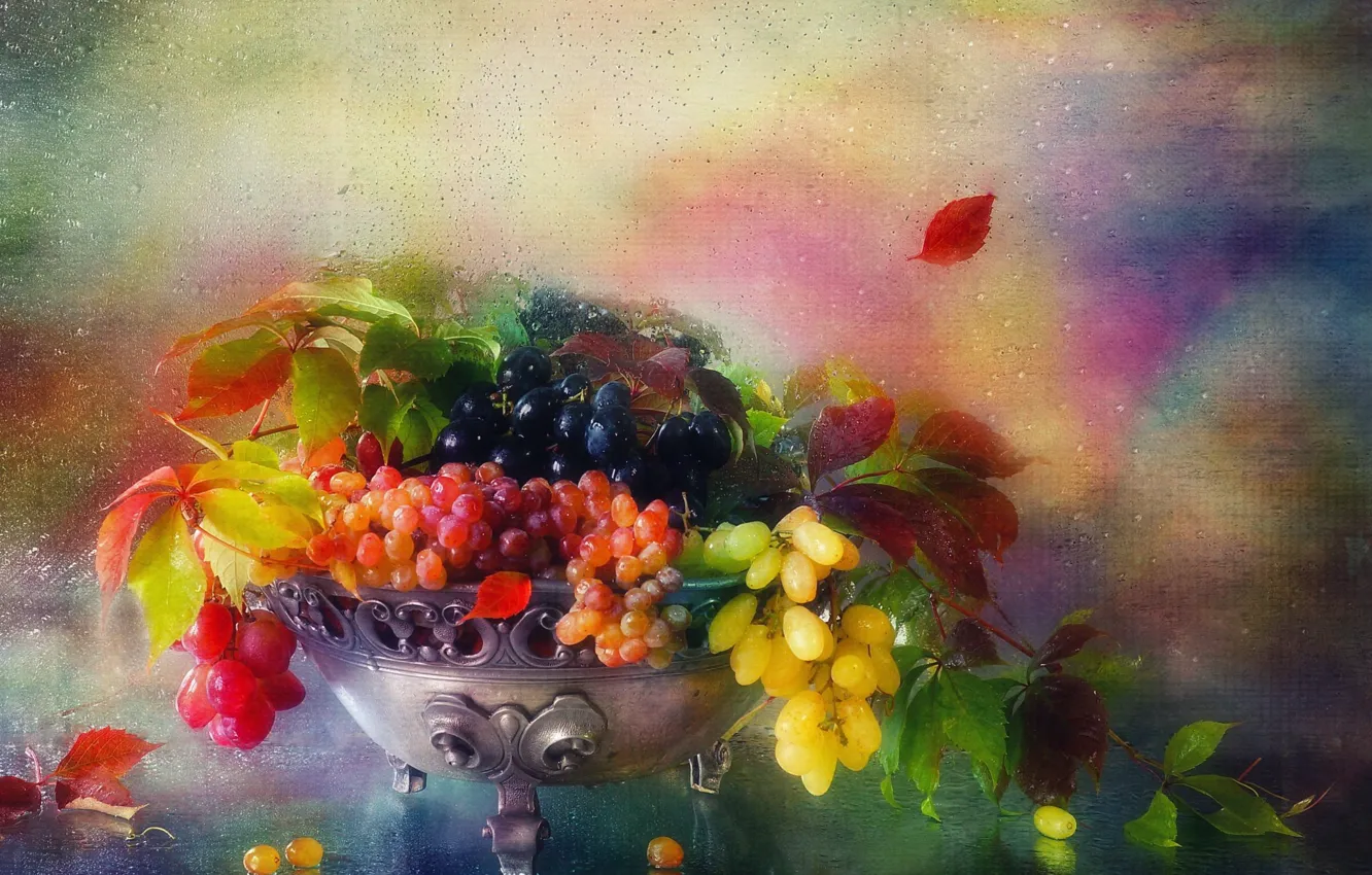 Фото обои листья, вода, капли, ветки, ягоды, виноград, ваза, натюрморт