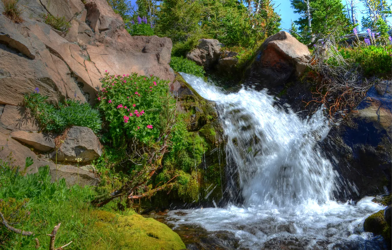 Фото обои небо, цветы, река, камни, скалы, водопад, поток