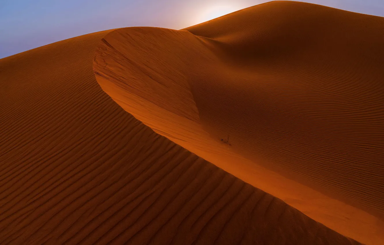 Фото обои песок, природа, дюны, пустня