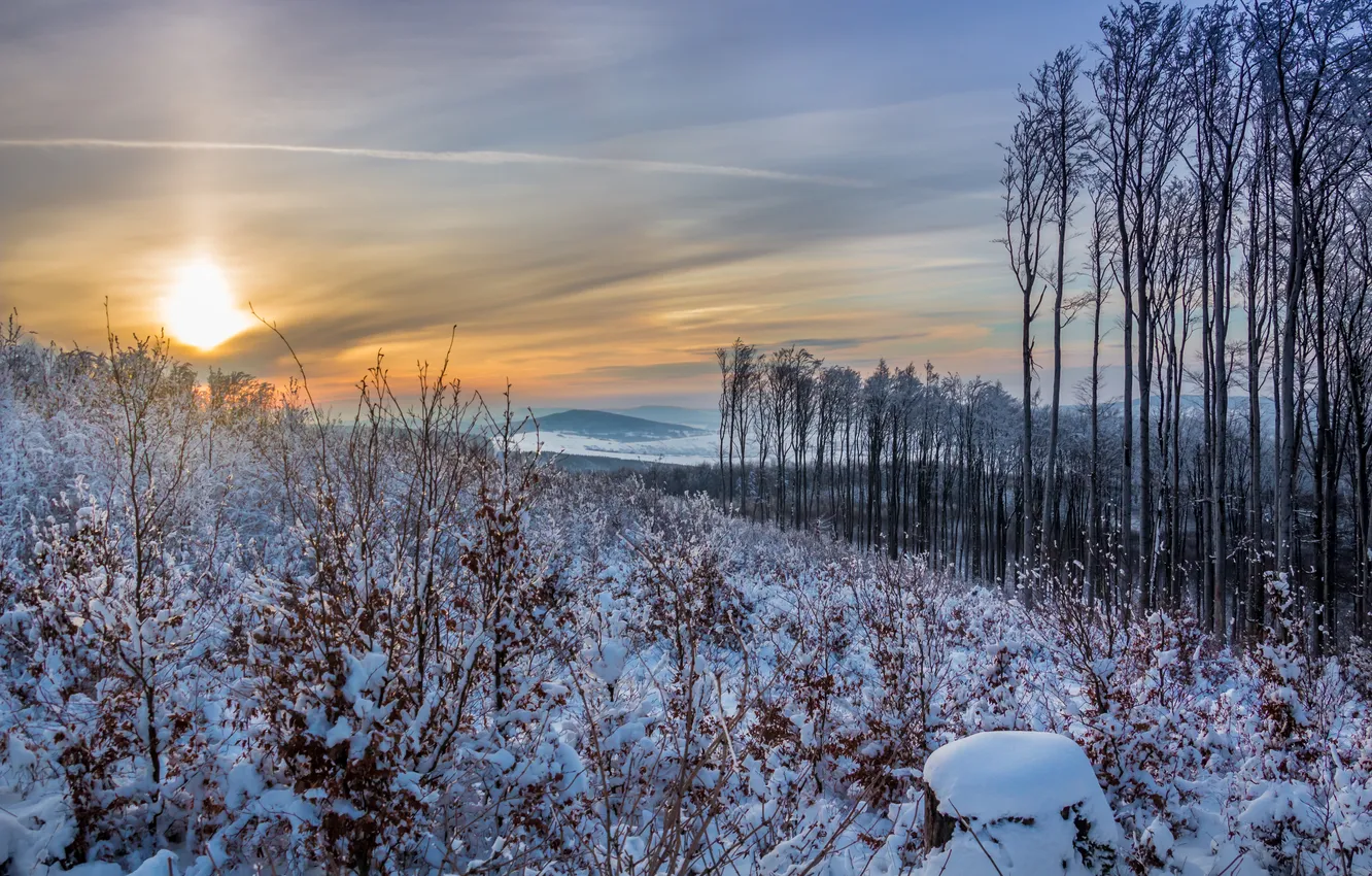 Фото обои зима, закат, природа