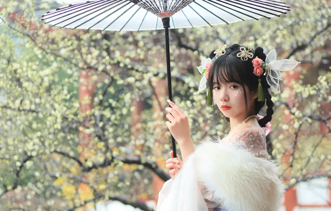 Фото обои Beautiful, Asian, Model, Flower, Tree, Umbrella, Woman, Pretty