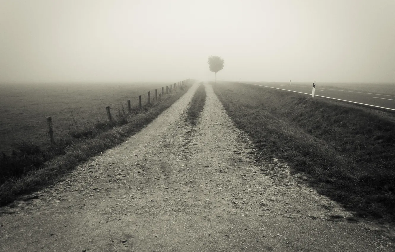 Фото обои дорога, трава, пустота, туман, дерево, забор