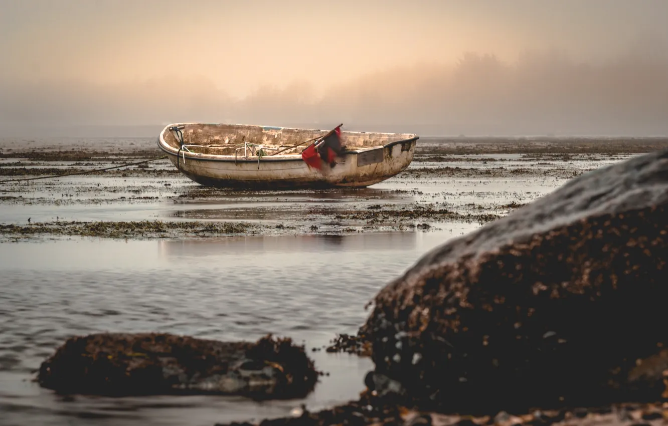 Фото обои туман, озеро, лодка