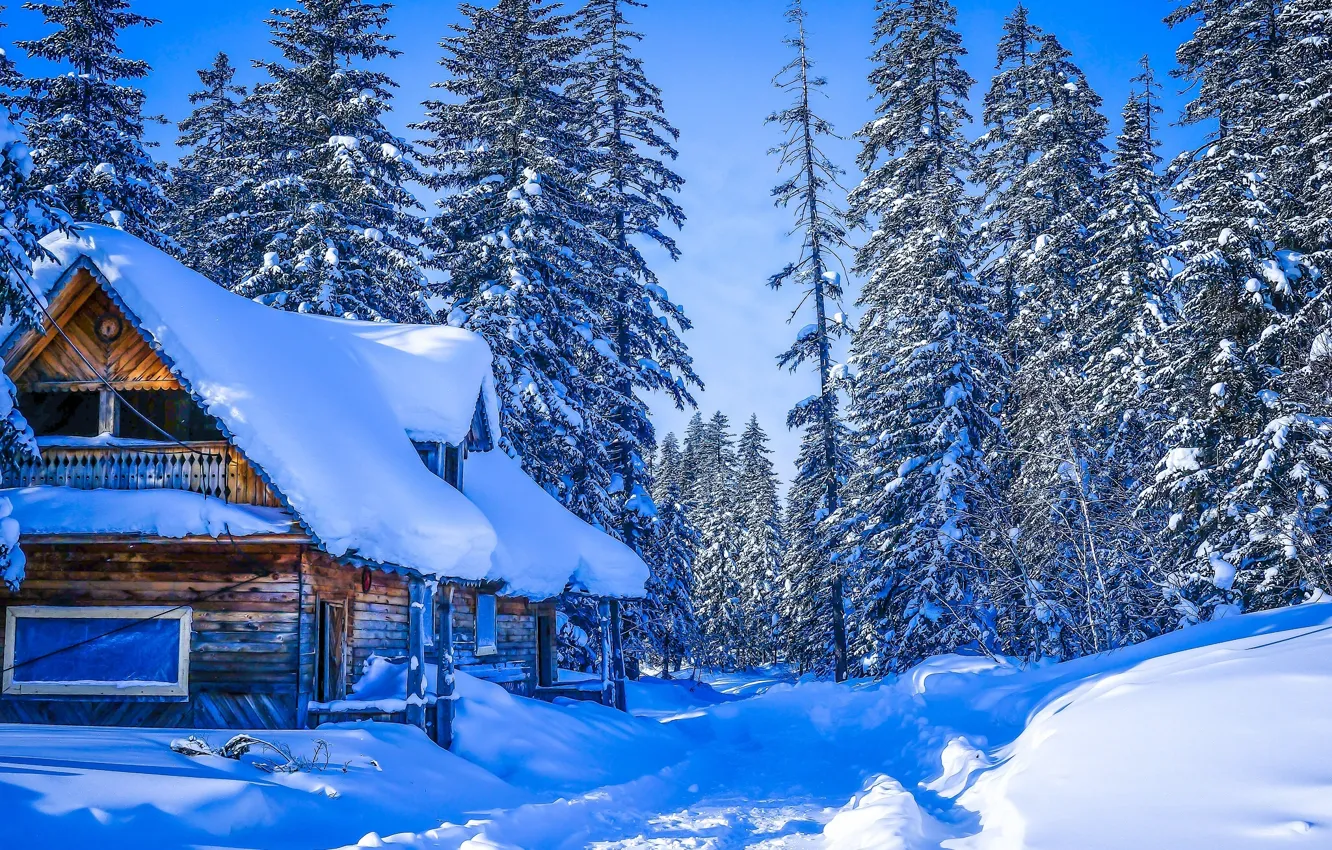 Фото обои зима, дорога, лес, снег, деревья, дом, Россия, Хабаровский край