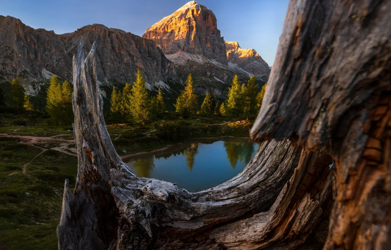 Фото обои лес, свет, горы, озеро, отражение, синева, дерево, скалы