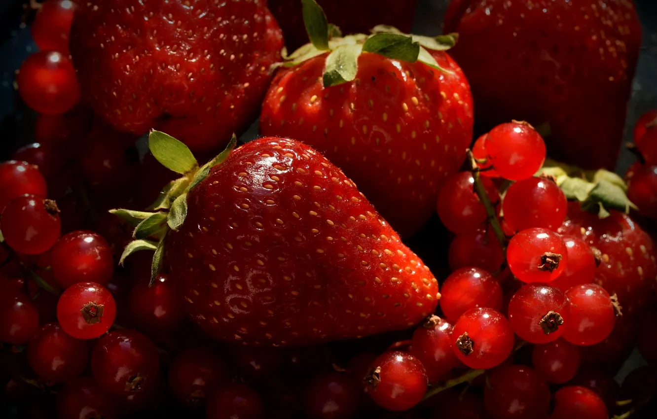 Фото обои ягоды, клубника, смородина