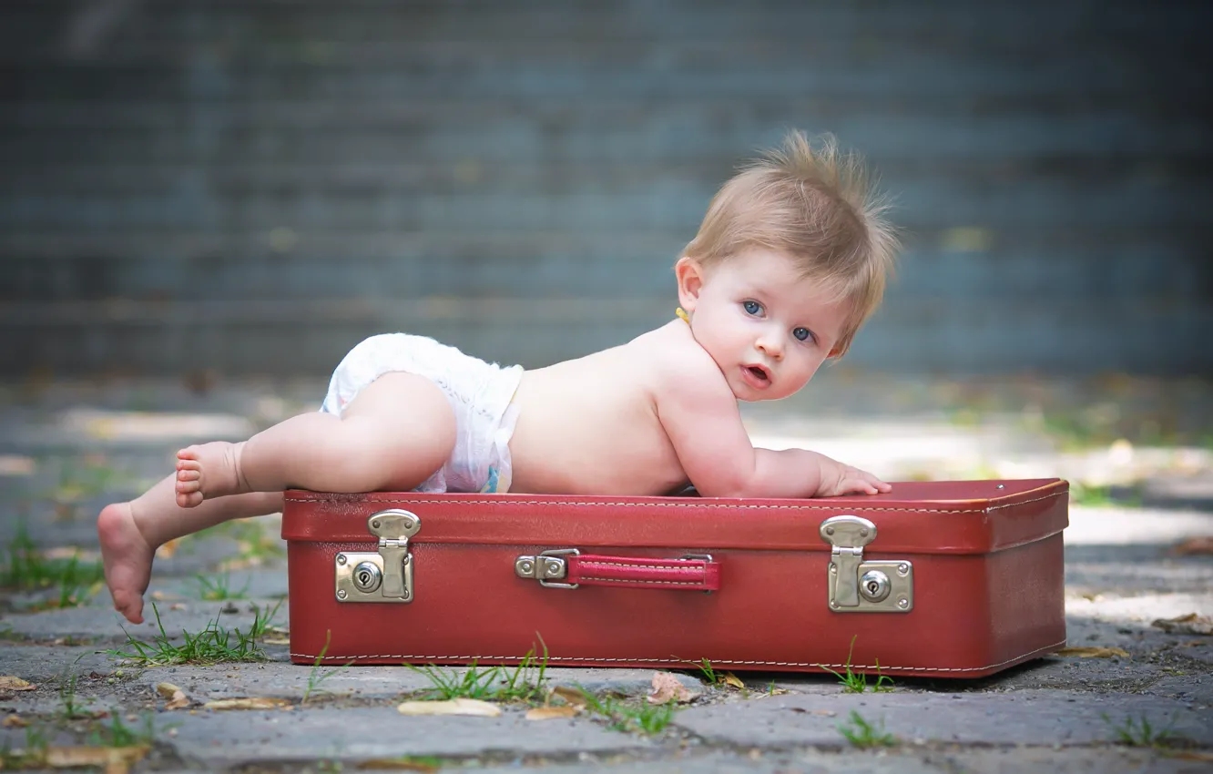 Фото обои удивление, малыш, чемодан, подгузник