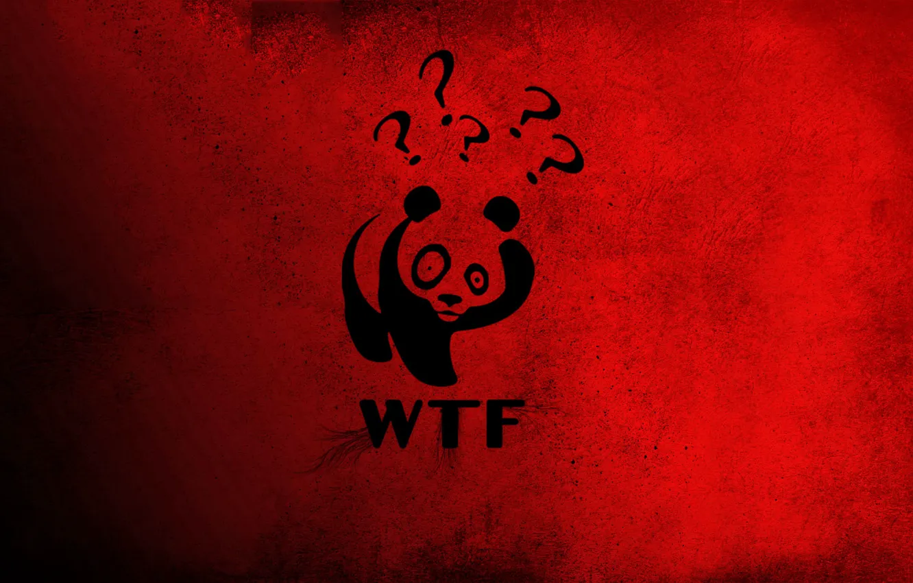 Фото обои красный, Панда, Китай, Винни-Пух, wtf, знак вопроса, большие глаза.
