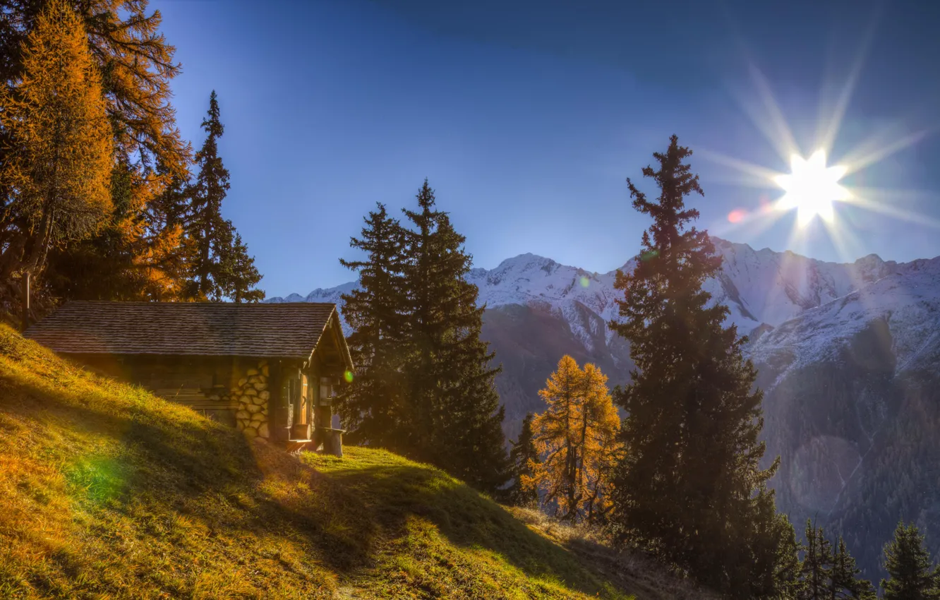 Фото обои деревья, горы, Швейцария, Альпы, домик, Switzerland, Alps