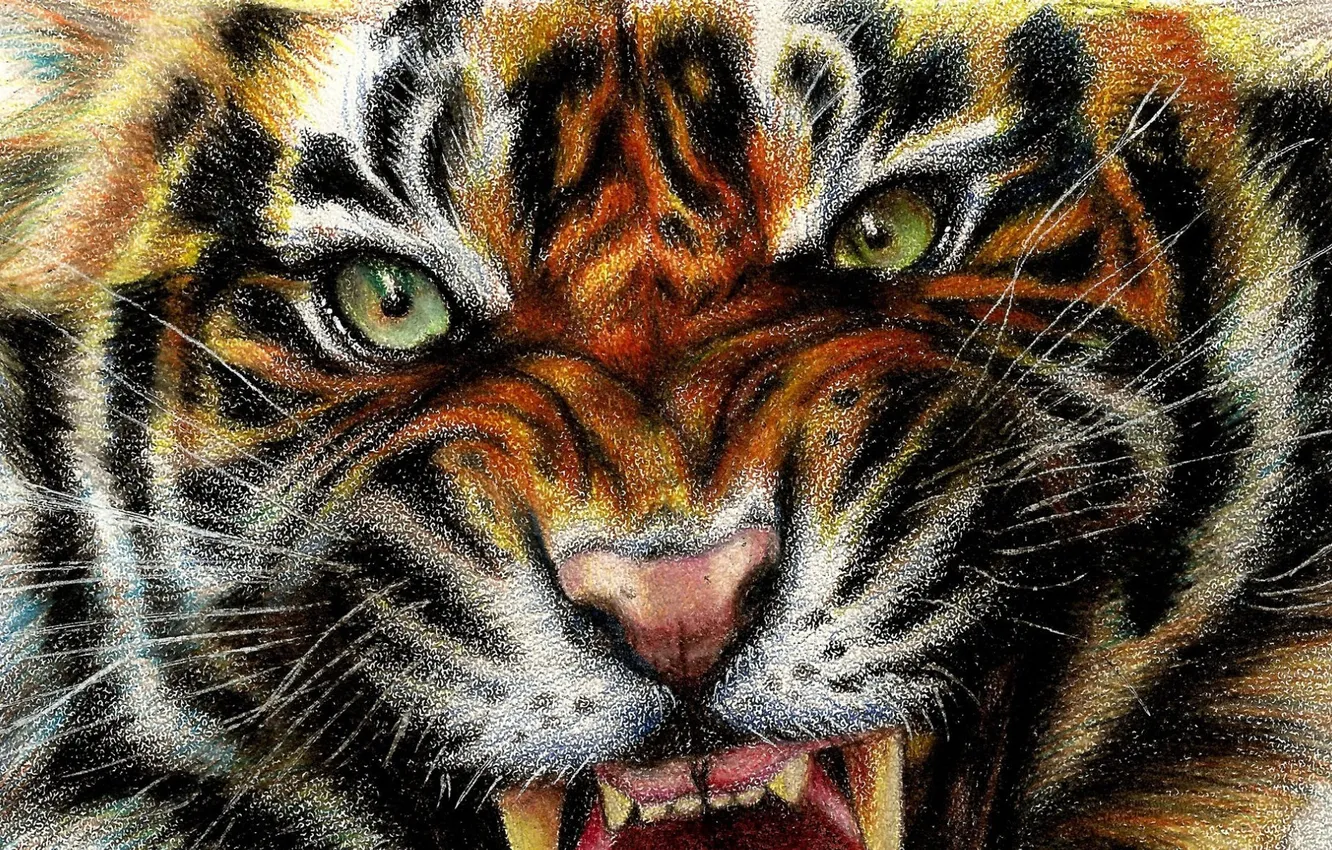 Фото обои тигр, арт, tiger