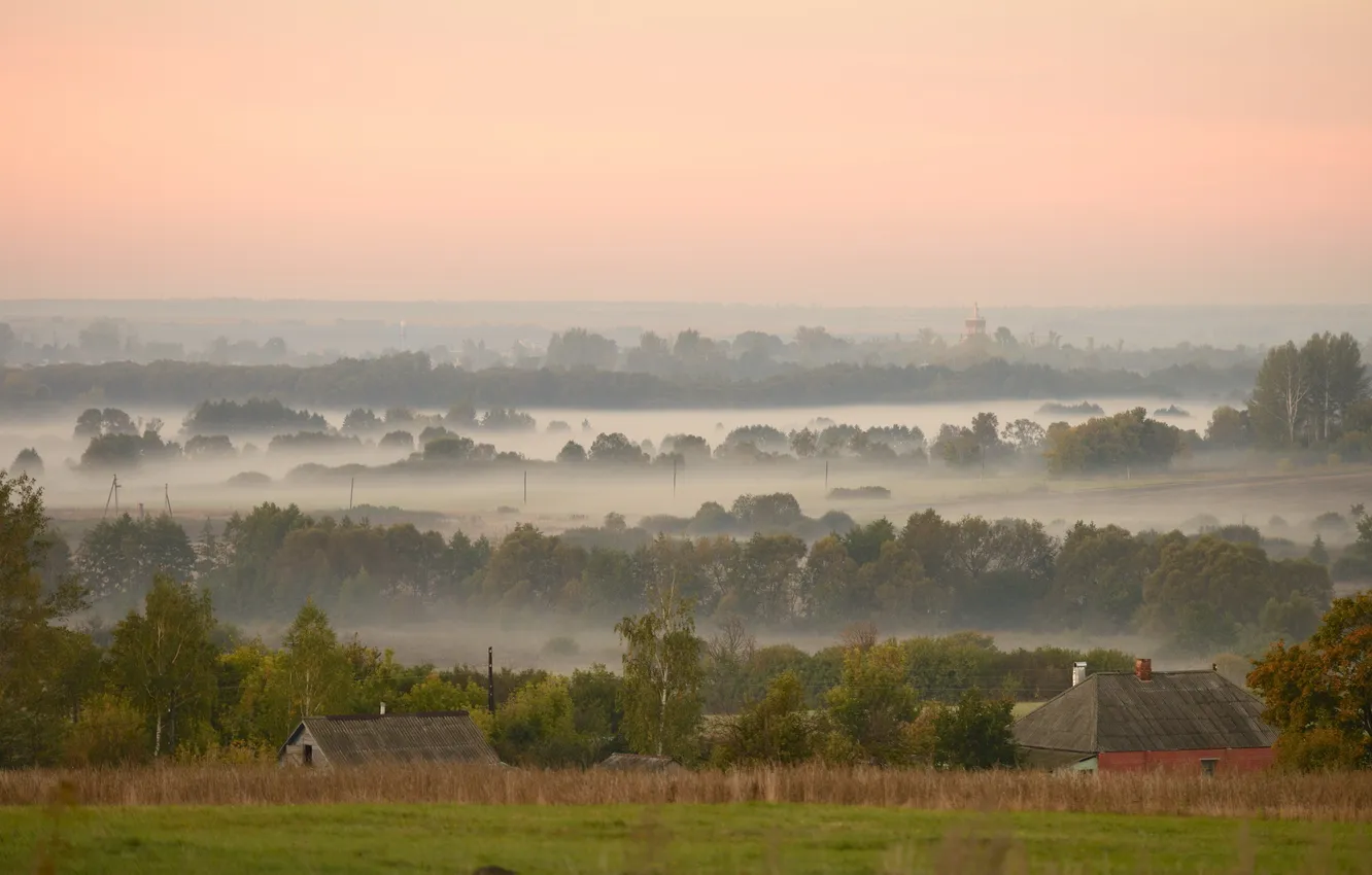Фото обои пейзаж, туман, утро