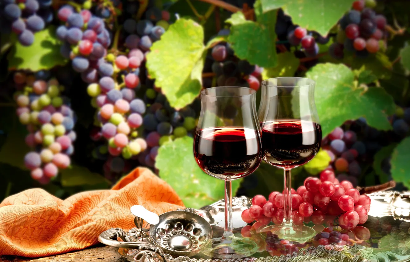 Фото обои листья, ветки, вино, красное, бокалы, виноград, поднос