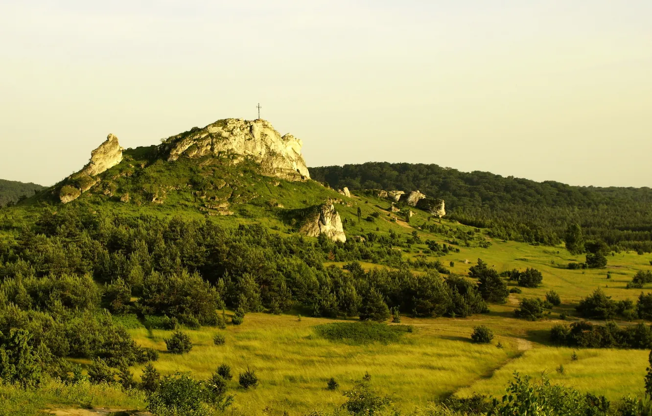 Фото обои пейзаж, природа, гора, Польша, Gmina, Tatrzanska, Bukowina