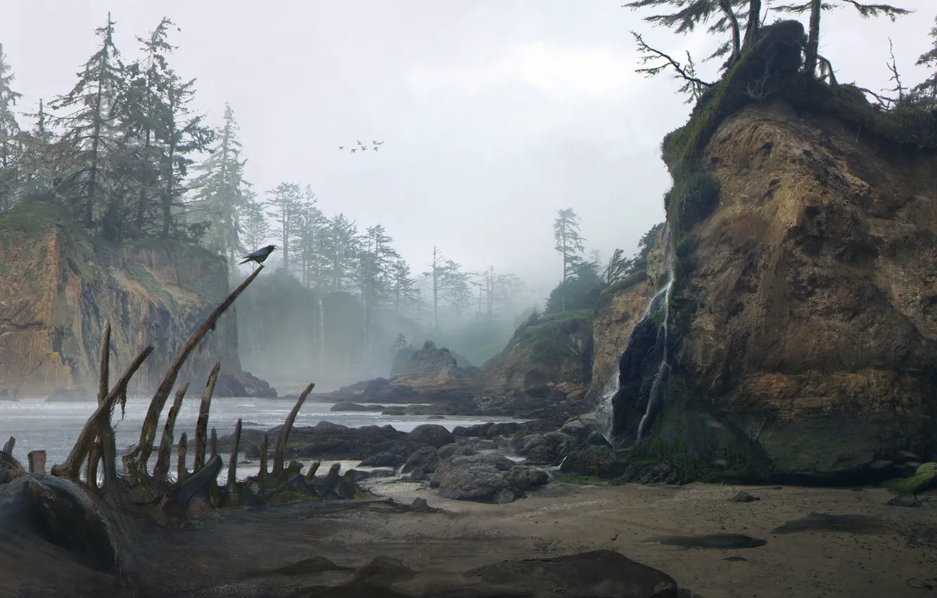 Фото обои река, скалы, останки, кости, Environment concept, Quiet coast