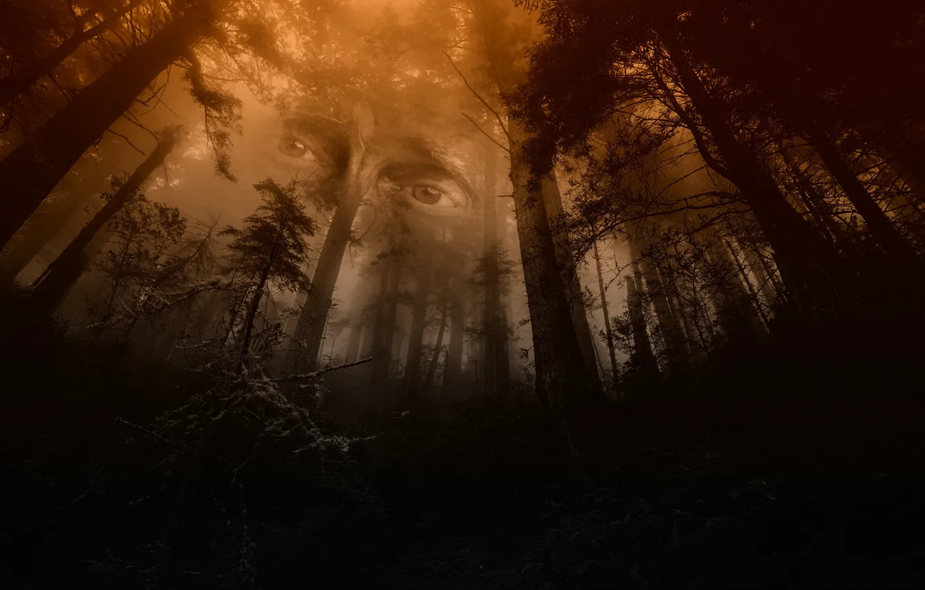 Фото обои лес, глаза, мистика, дух леса