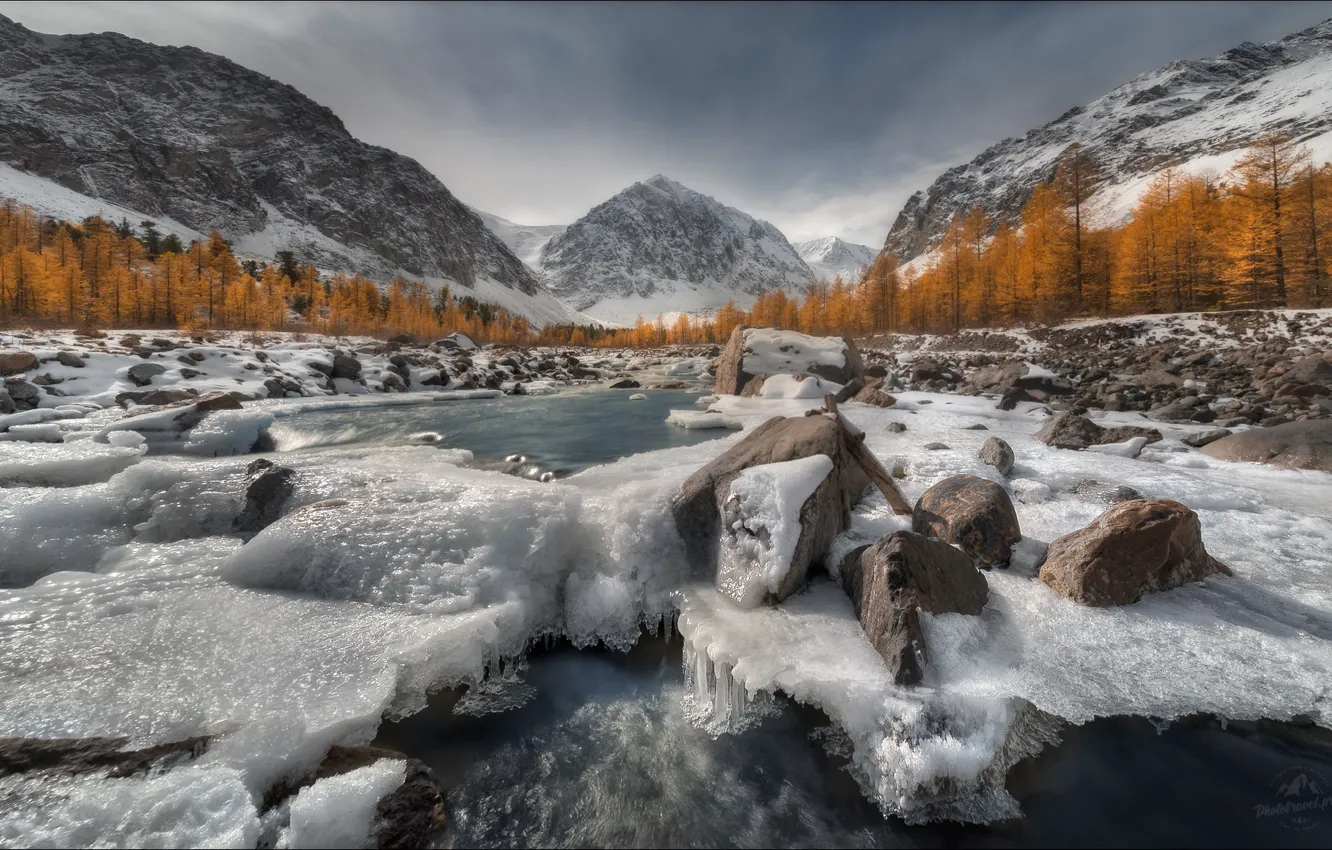 Фото обои осень, деревья, горы, река, камни, лёд, Россия, Алтай