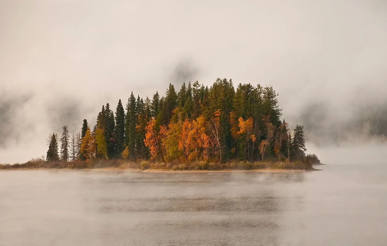 Фото обои деревья, туман, озеро, остров