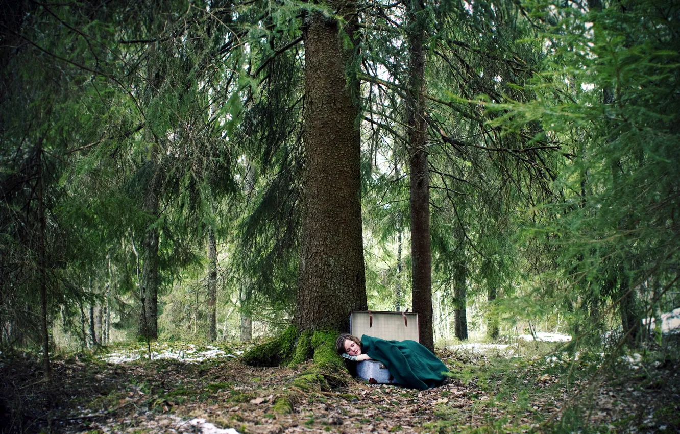Фото обои лес, девушка, ситуация, чемодан