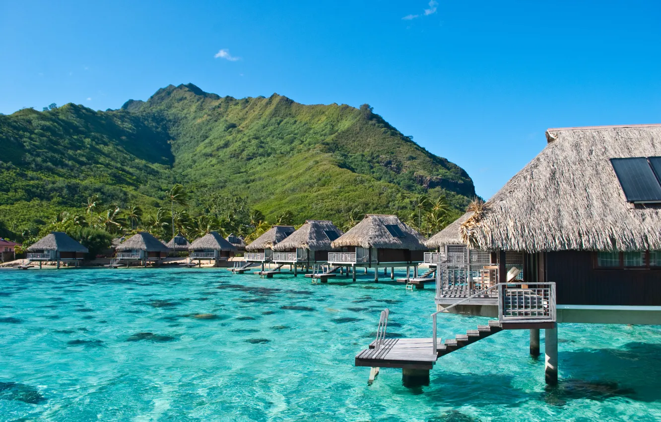 Фото обои океан, экзотика, Moorea, French Polynesia, бунгаловый отель