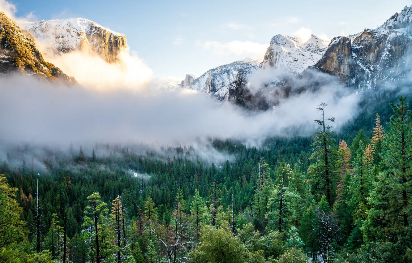 Фото обои деревья, горы, туман, Природа